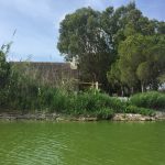 ALBUFERA NATUURPARK